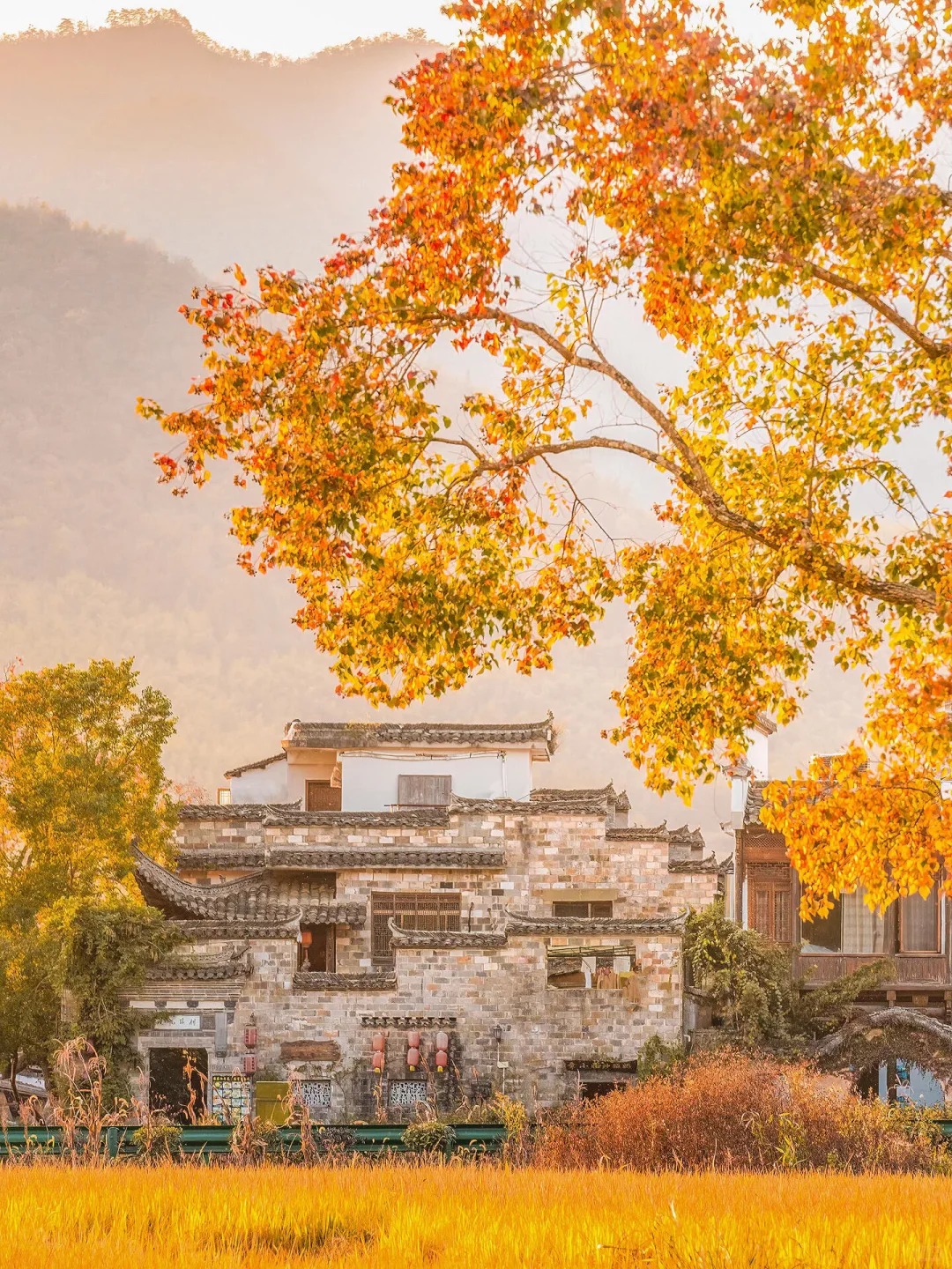 《国家地理》没骗我😭国庆去皖南赏秋真美绝了_1_旅行定制师-KK_徽州-赏秋-国庆特辑-来自52tours 我爱旅游网